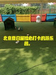 -萌宠亲子动物乐园(槐房万达店)