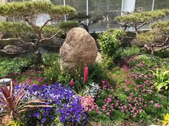 -罗红摄影艺术馆