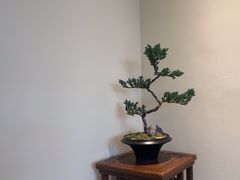 -小茶闲舍·观景商务茶馆(广州塔店)