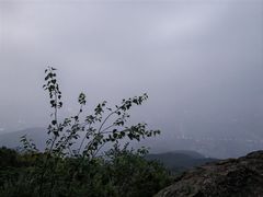 -北京西山国家森林公园