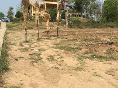 -黄色小屋