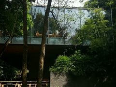 外景-七仙岭君澜度假酒店·桃源小馆中餐厅