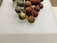 -广东省博物馆
