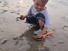 -南汇嘴观海公园