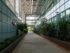 -宝安体育馆游泳馆
