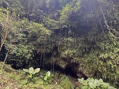 -海口火山口国家地质公园
