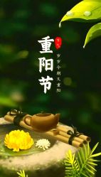 点击看大图 -Cindy Jewelry·钻戒·彩色宝石