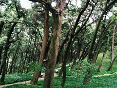 -七曲山风景区