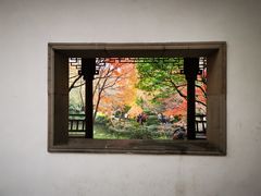 -秋霞圃