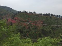 -木兰云雾山