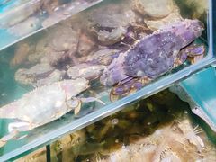 水产区-蟹谢蒸鲜自助餐厅