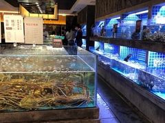 水产区-徐记海鲜(大雁塔|金都店)