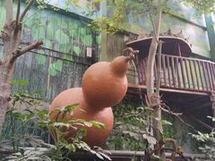 -呀路古热带植物园
