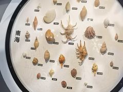 -海合安青岛极地海洋公园