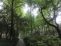 -山外山菜馆(玉泉路店)