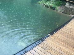 -龙湾潭国家森林公园