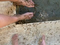 -中家鑫园温泉酒店鑫悦汤泉