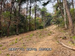 -青龙山国家森林公园