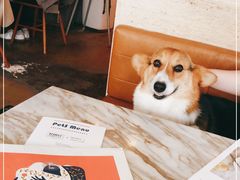 -the rug 飞毯 (朝阳公园店)