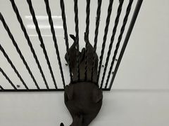-胶囊画廊