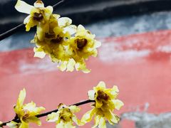 -西安大兴汤院遗址公园