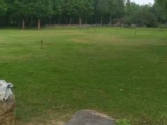 -洛阳市隋唐城遗址植物园