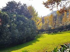 -上海市保健医疗中心