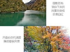 -叠溪松坪沟景区