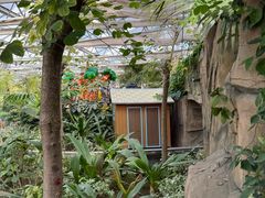 -南宫五洲植物乐园