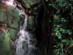 -海南热带雨林国家公园吊罗山景区