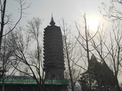 -西海子公园