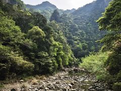 -龙湾潭国家森林公园