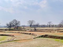 -盘龙城国家考古遗址公园