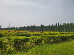 -汉景帝阳陵博物院
