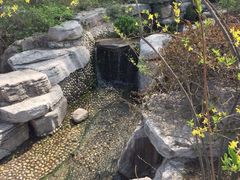 -济南植物园