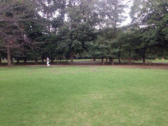 iphone_upload_pic-井之头恩赐公园