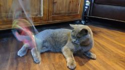 店内环境-飛凡TATTOO纹身•原创