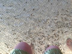 -东方之珠洗浴休闲广场(于家堡店)