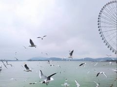 -蠡湖大桥公园