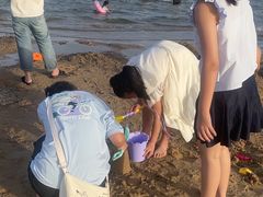 -碧海金沙