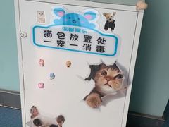 -特一安24小时宠物医院·骨科·中兽医