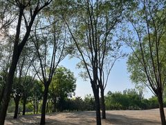 -东郊湿地公园