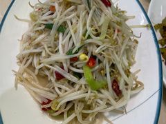 火爆豆芽-顶顶香煎饼家常菜(金花南路店)