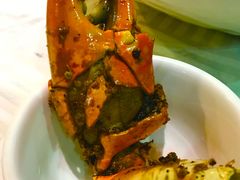 -石头咕(葵蓬店)