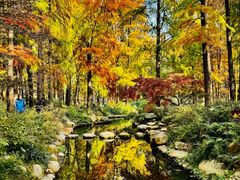 -上海共青森林公园