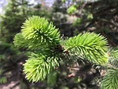 -长春公园(普阳街道)