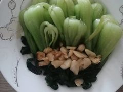 -大班家政月嫂育儿嫂(深圳NO.1店)