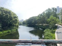 -昆山城市生态森林公园