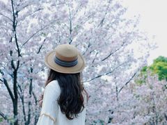 -武昌江滩