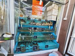 景观位-北戴河庆山饭店·海鲜砂锅粥(北戴河黑石路店)